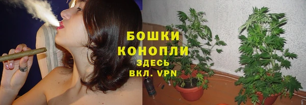 амф Нефтекумск