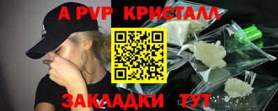 тгк Кингисепп