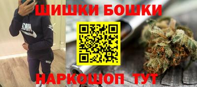 тгк Кингисепп