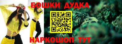 тгк Кингисепп