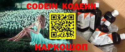 тгк Кингисепп