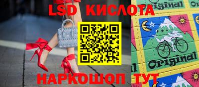 тгк Кингисепп