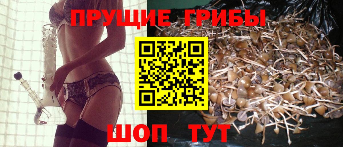 Псилоцибиновые грибы мухоморы Ногинск