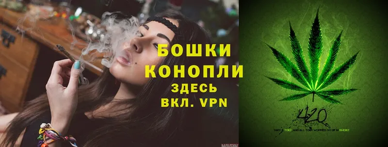 купить   Ногинск  mega ссылки  Бошки марихуана White Widow 